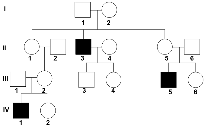 A Beginner s Guide For Pedigree Chart Edraw