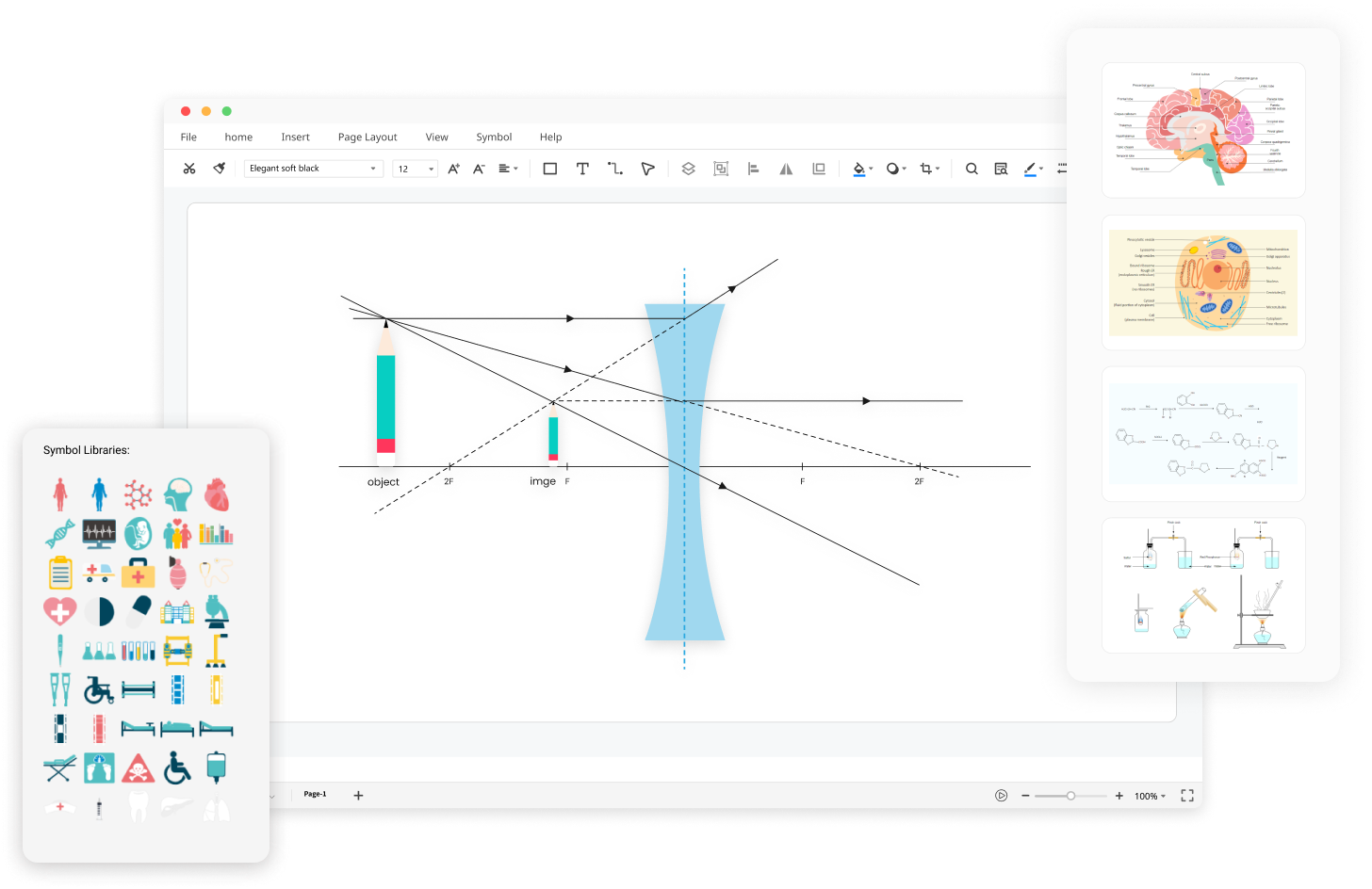 phylogenetic tree software