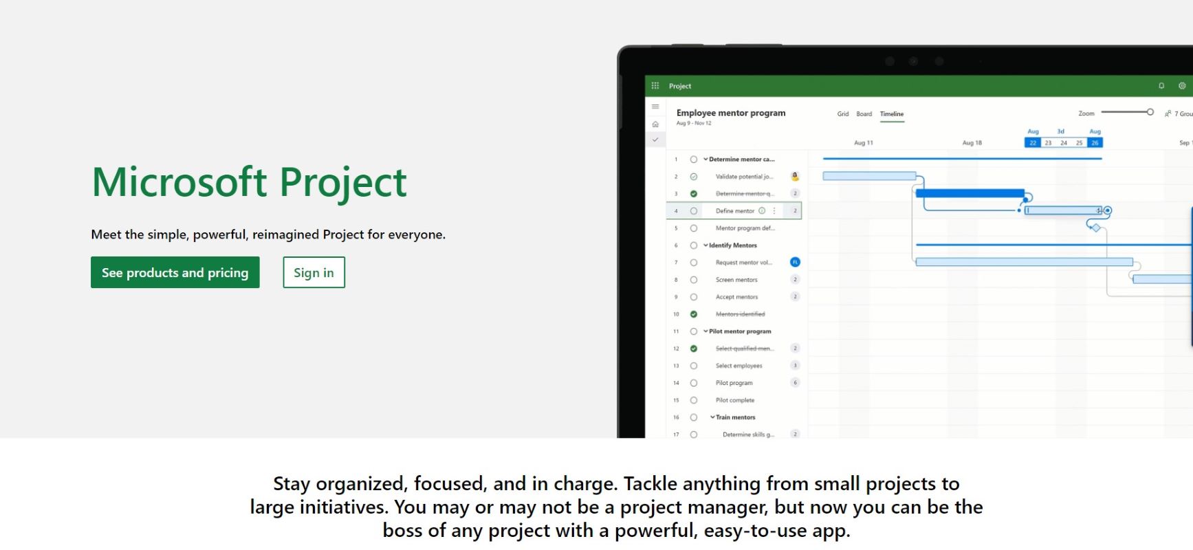 microsoft project interface