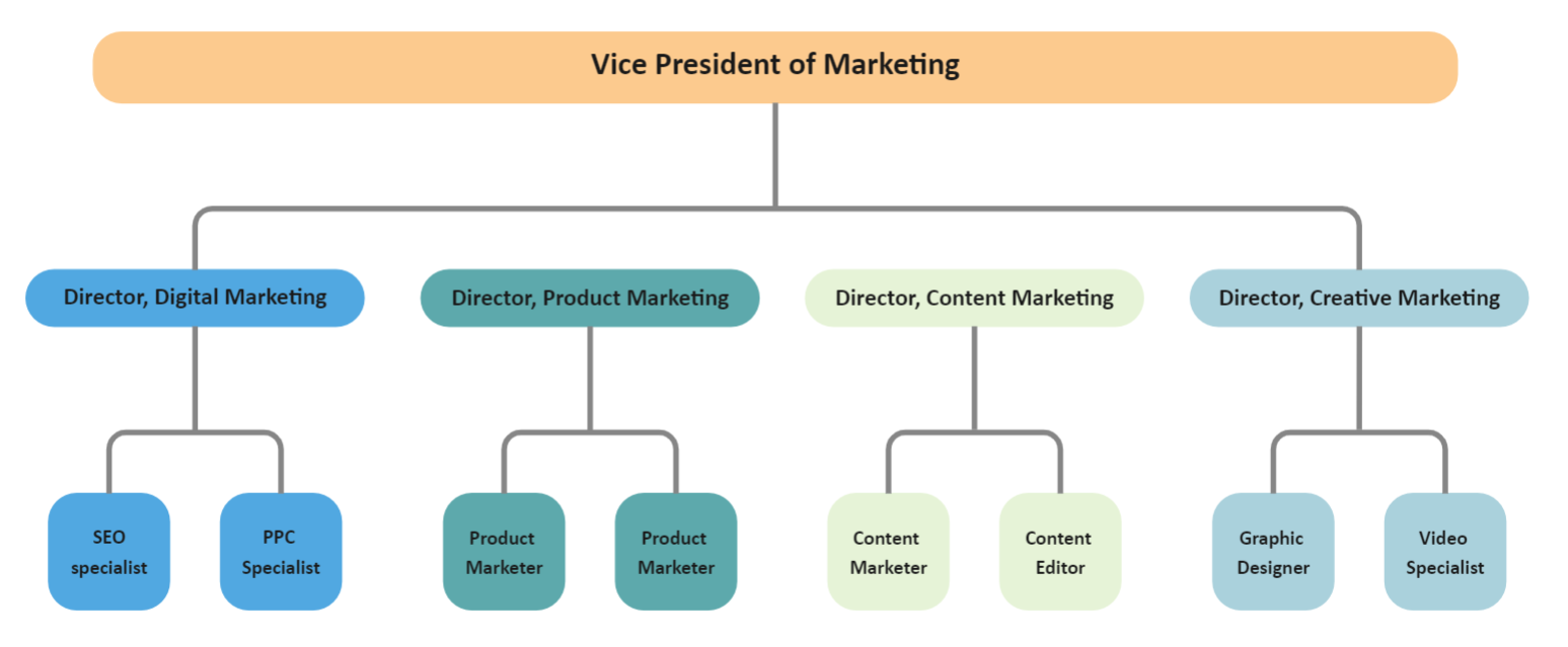 B2B SaaS Unternehmen Organigramm