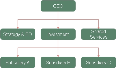 La estructura holding