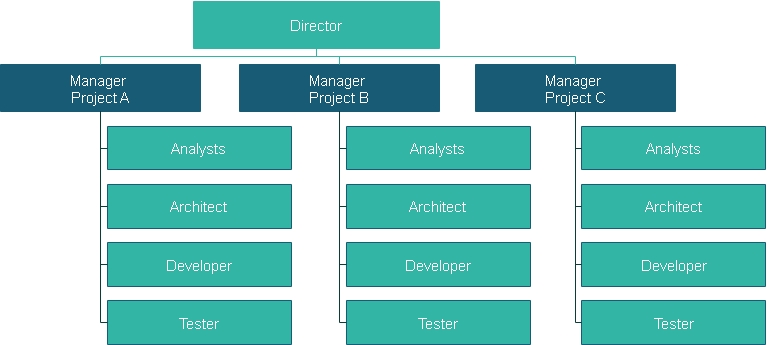 The project-based structure