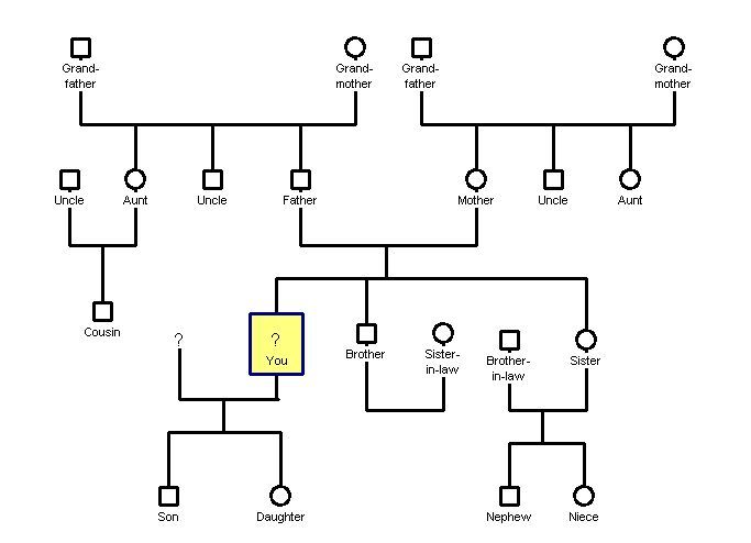 La rappresentazione delle generazioni nell'albero genealogico a scopo medico