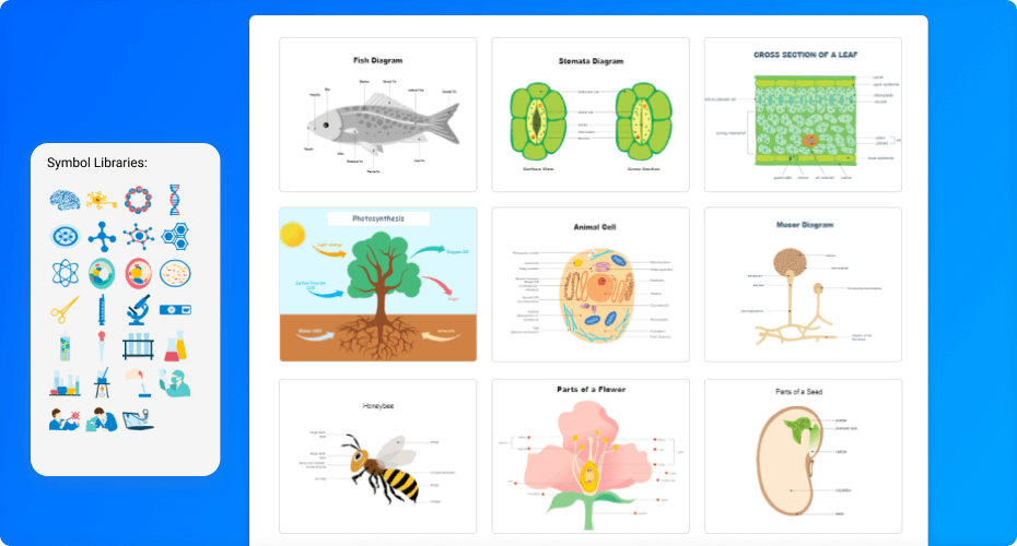 Free Biology Diagram Software with Free Templates EdrawMax