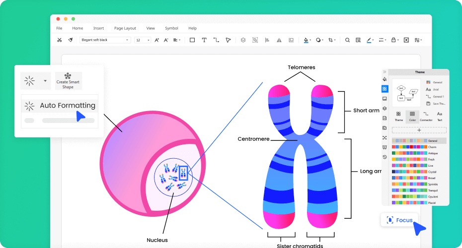 Free Biology Diagram Software with Free Templates EdrawMax