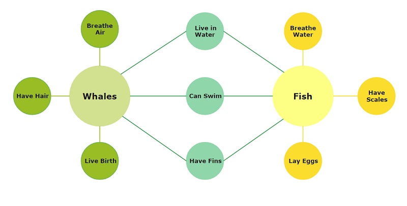 Bubble Diagrams Tutorial 1 