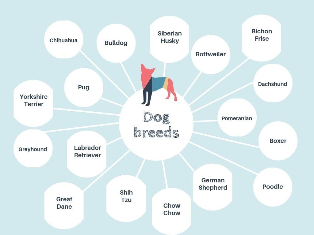 mapa de bolhas de raças de cachorro