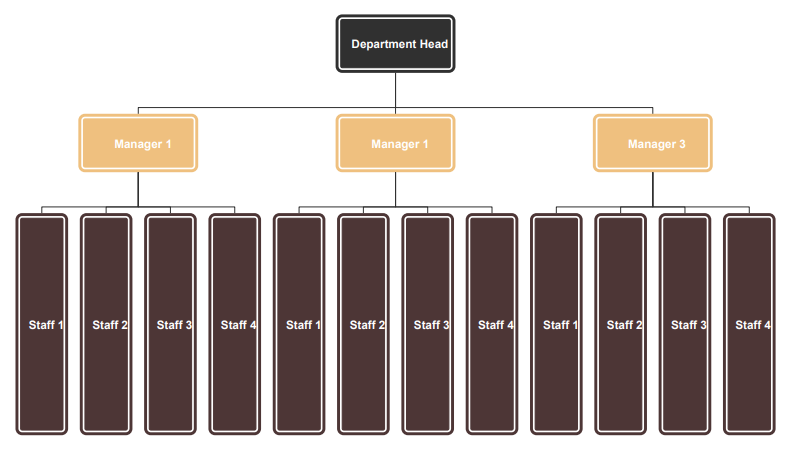 Horizontal/Flat Organizational Structure