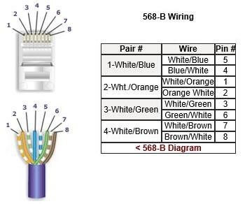Cat5 Wiring Diagram: A Complete Tutorial | EdrawMax  Wiring Diagram For Cat 5 E Cable    Edraw