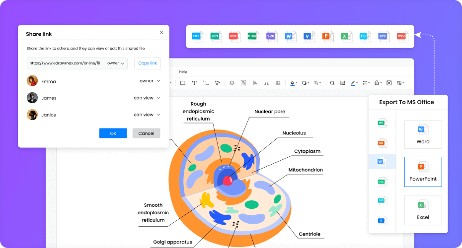 colaboración