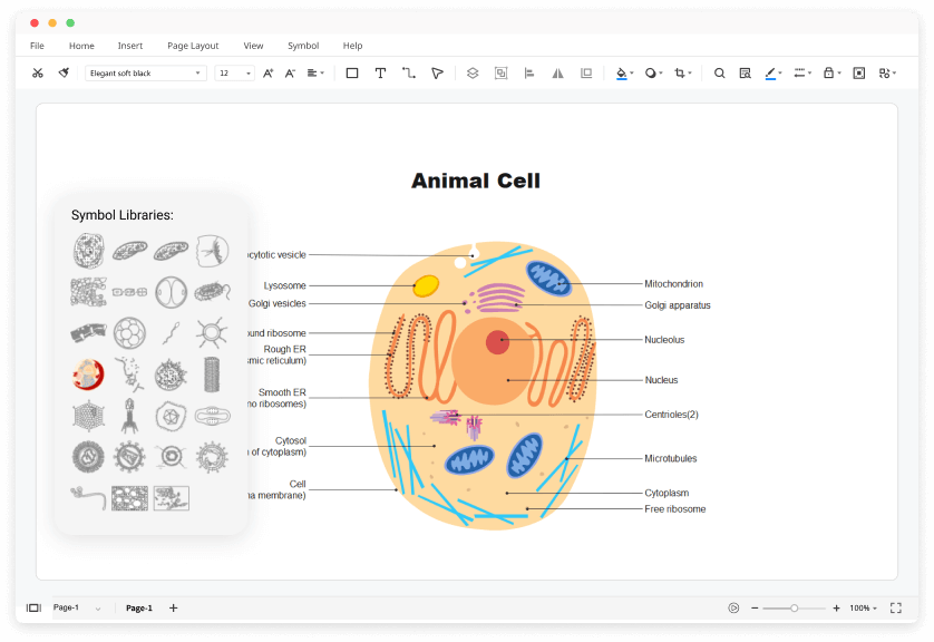 Free Cell Diagram Software with Free Templates - EdrawMax
