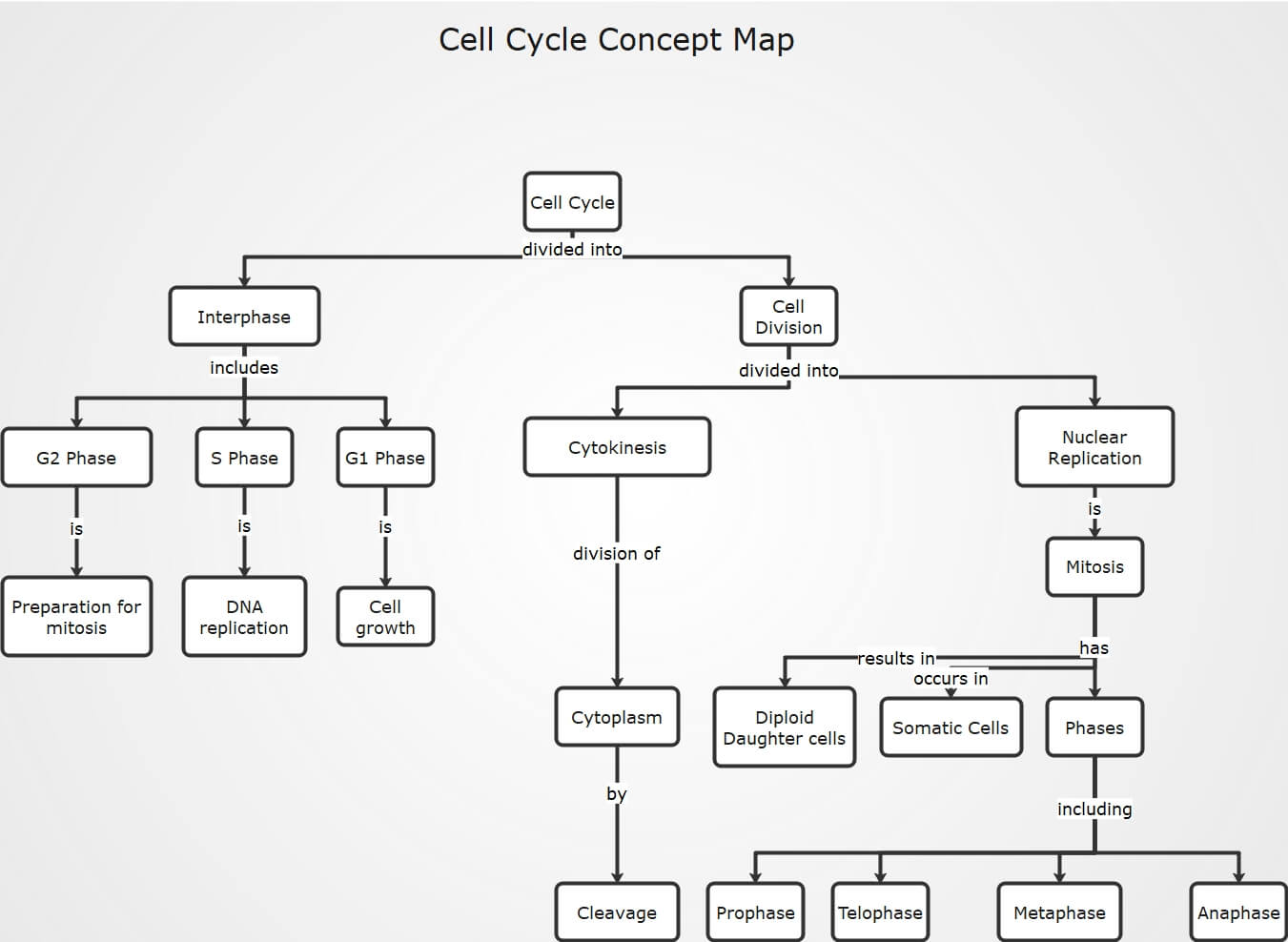 mappa concettuale