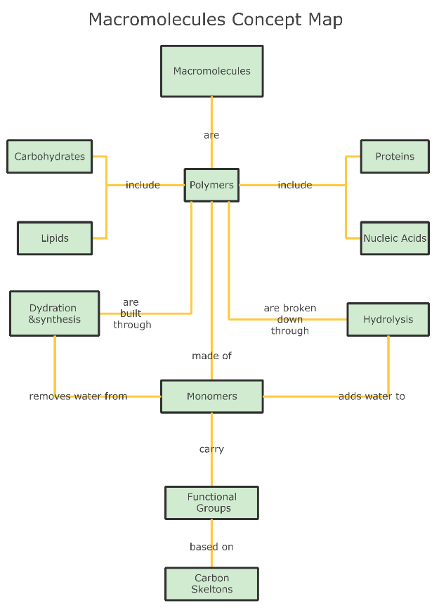 Macromolecules Concept Map