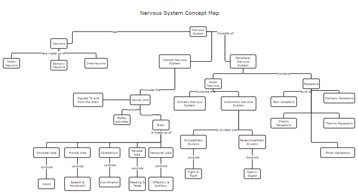 simple nervous system concept map