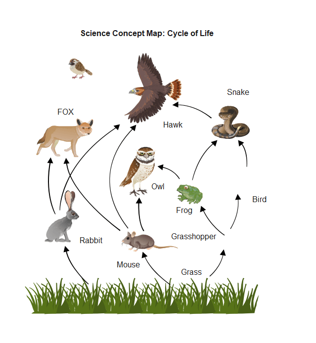 Science Concept Map