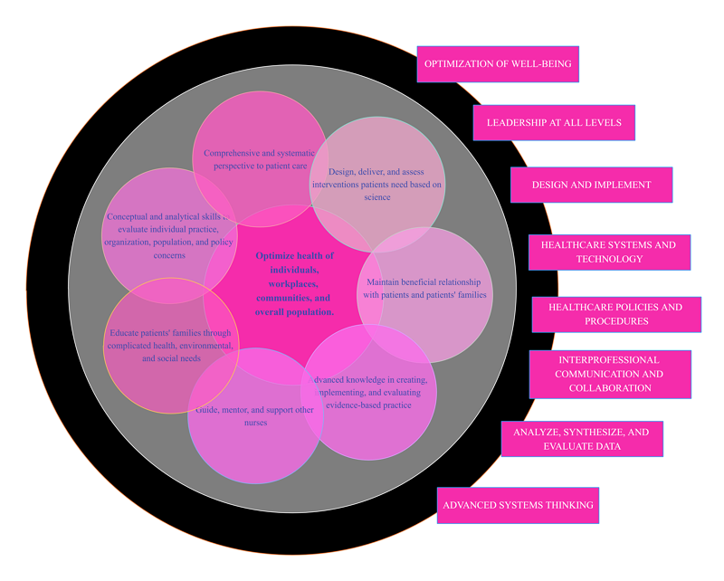 DNP Konzeptuelles Framework
