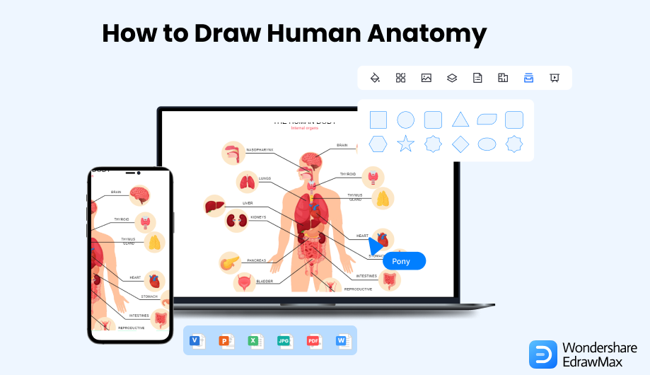 Wie man die menschliche Anatomie zeichnet Cover