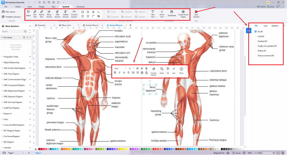 Wie man die menschliche Anatomie zeichnet