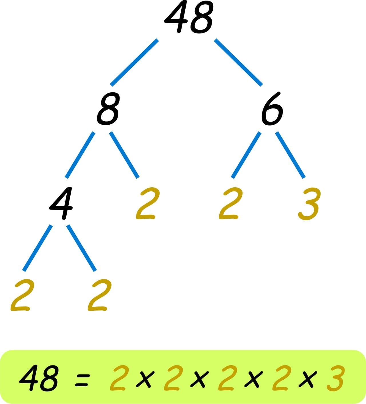 un árbol de factores del número 48