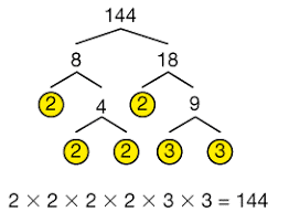 el árbol de factores para el número 144