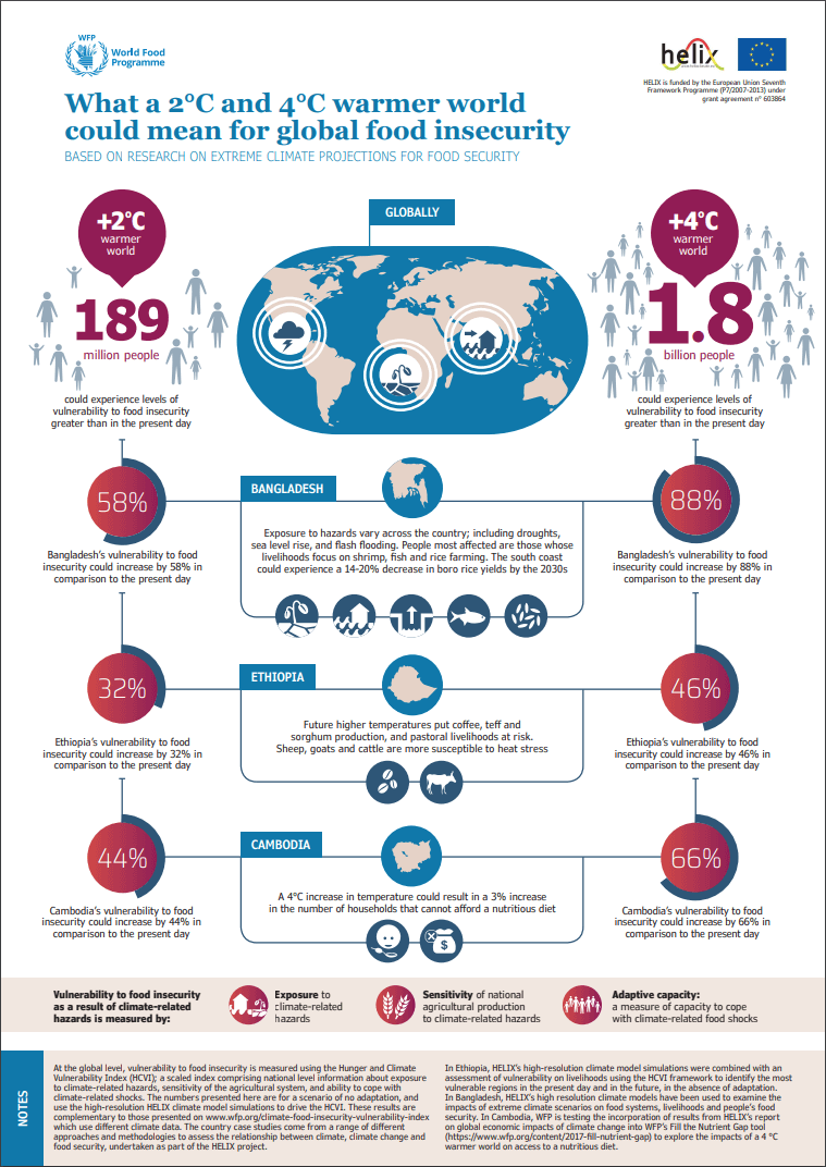 infographic on food