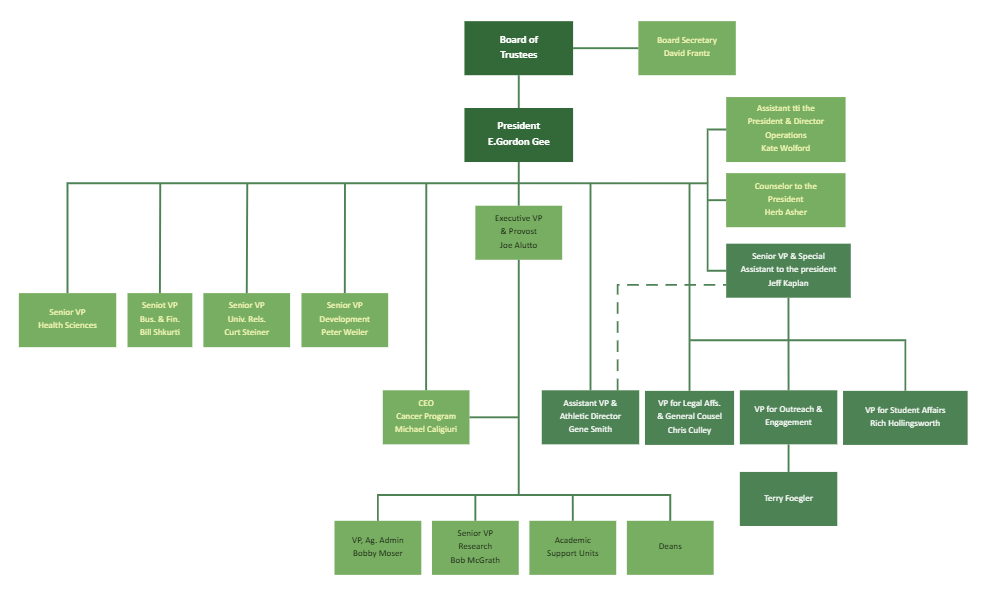 Funktionale Organisationsstruktur 