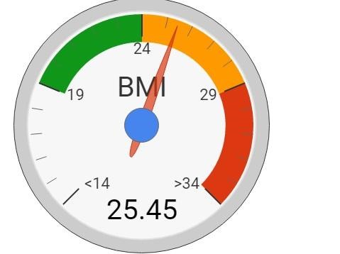 a dial chart showing the Body Mass Index