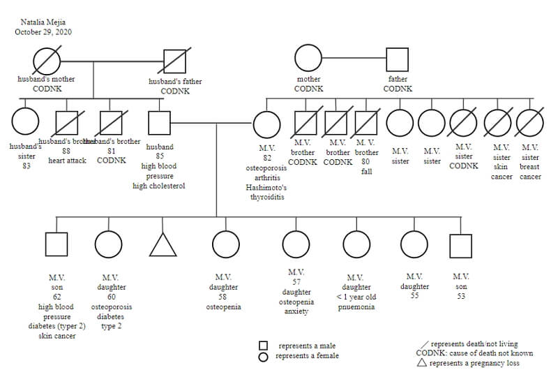 family genogram legend