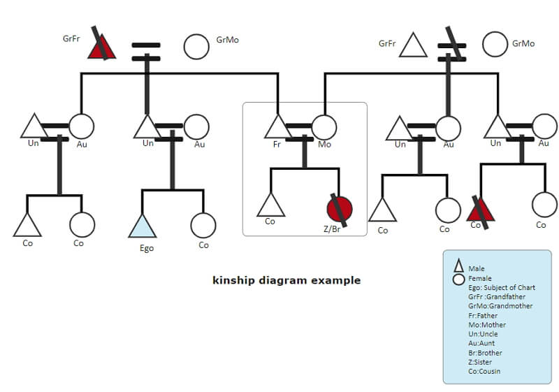 Tesina: Il genogramma e l'albero genealogico