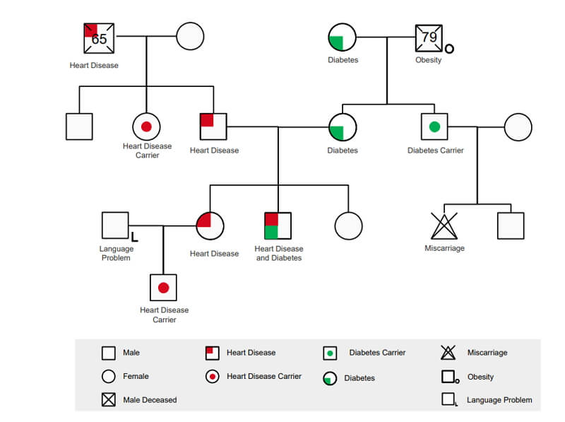 Free Editable Genogram Examples & Templates | Edraw