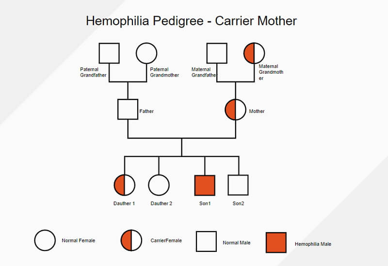 Hämophilie Mutter-Trägerin-Genogramm