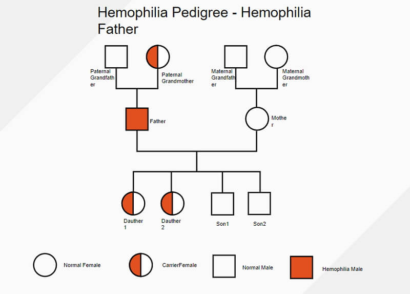 genogram example social work