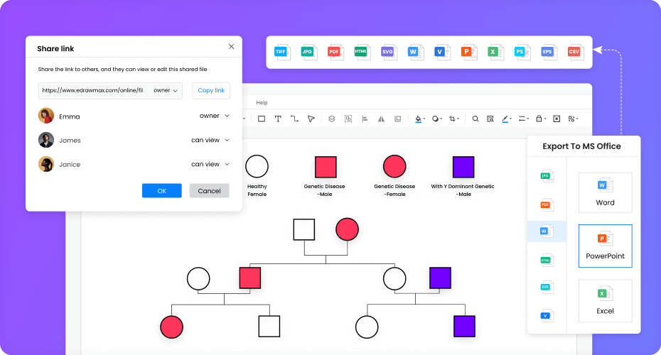 collaboration de génogramme