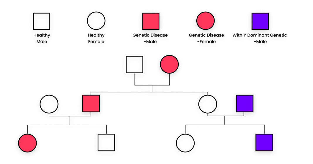 diagramas de circuito