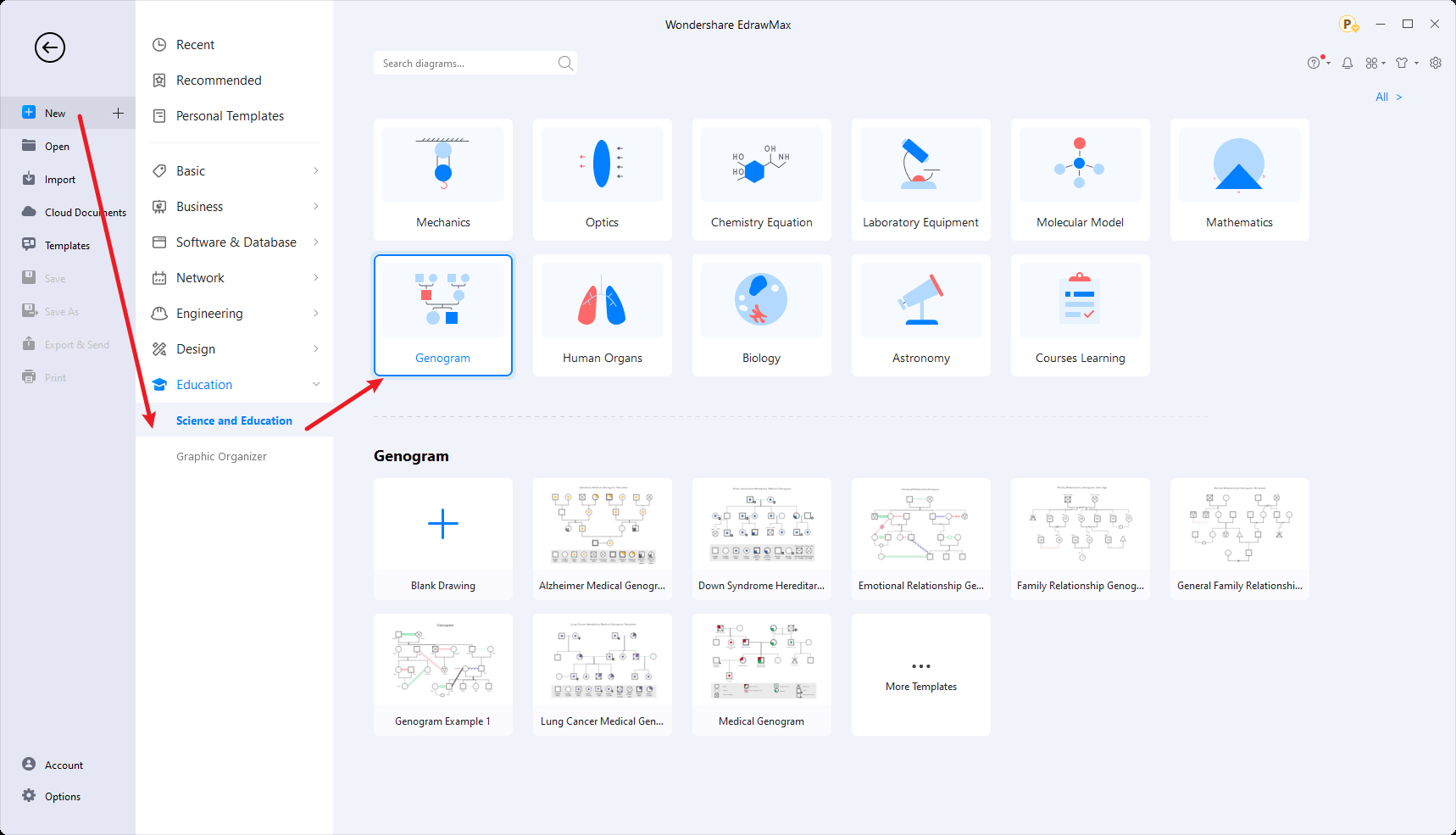 Genogram Symbol Edrawmax