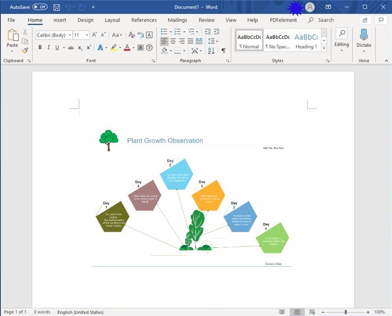 Graphic Organizer Templates Microsoft Word