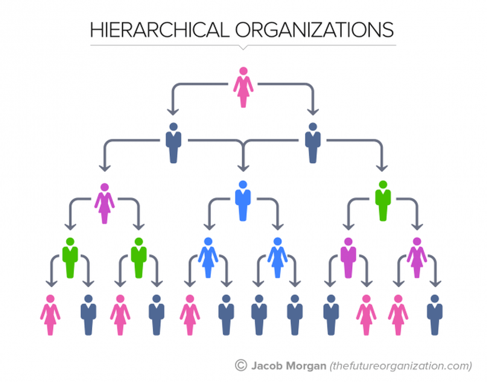 What Is A Hierarchy Structure