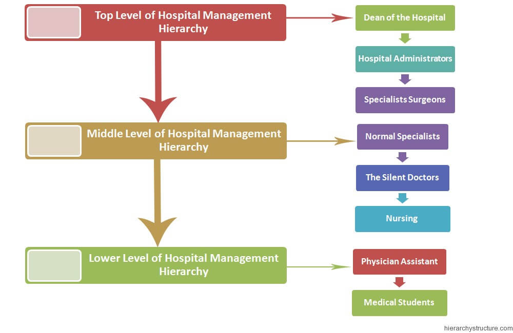 Management Hierarchy Chart