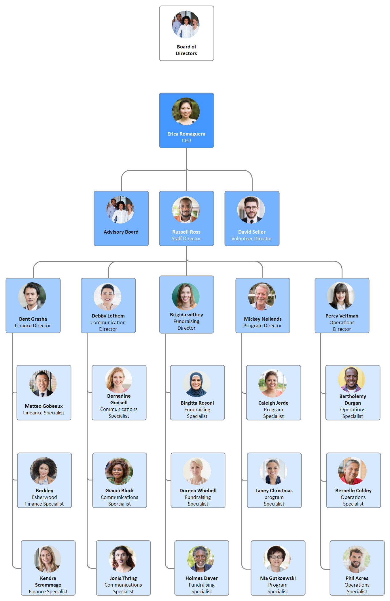 Board Of Directors Hierarchy Chart   Basic Org Chart 