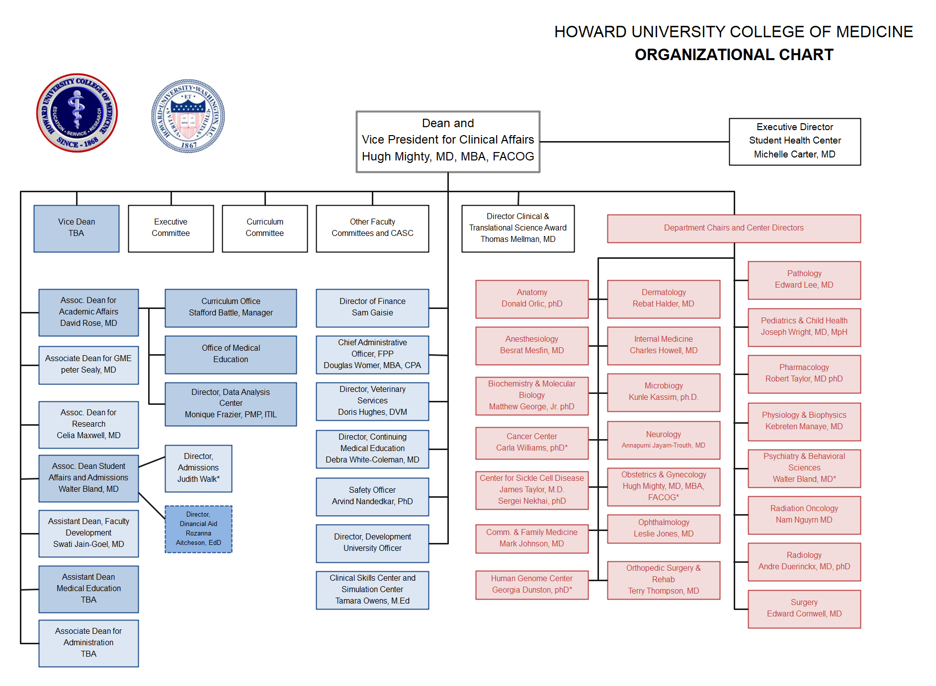 Hierarchy Organizational Chart Complete Guide EdrawMax