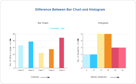 Histogram and Bar Graph