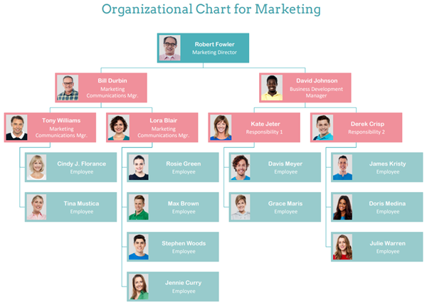 org chart