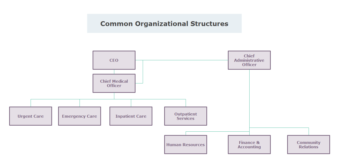 Estruturas Organizacionais Comuns