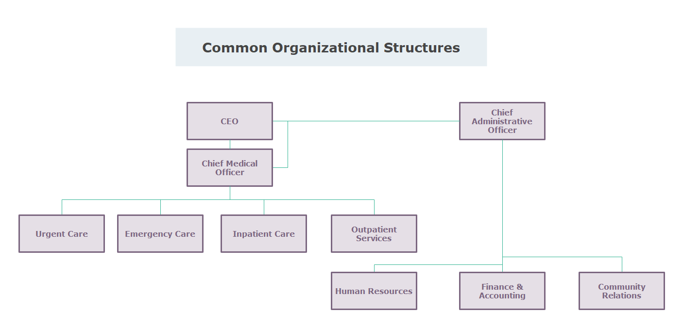 Common Organizational Structures