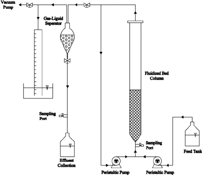 Schematic diagram