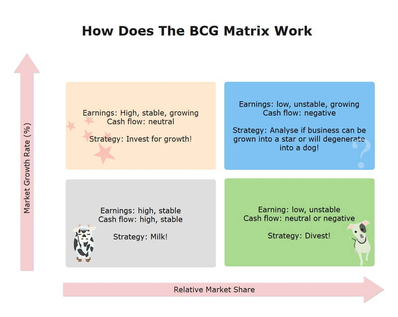 BCG Matrix example