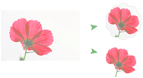 imagen de cultivo infográfico