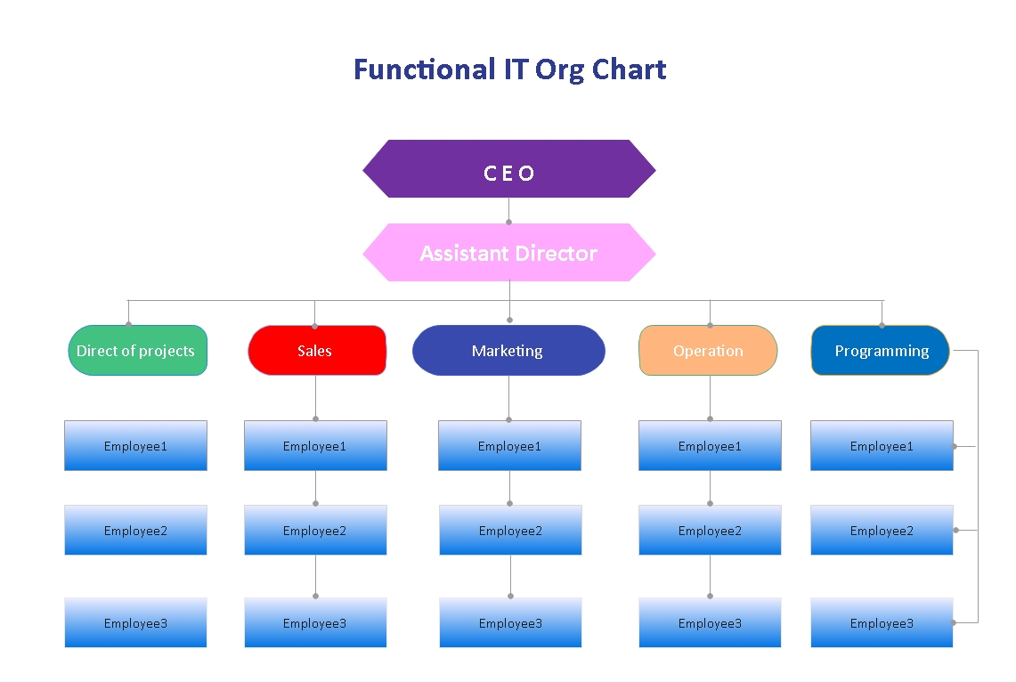 Funktionelle IT-Organisation