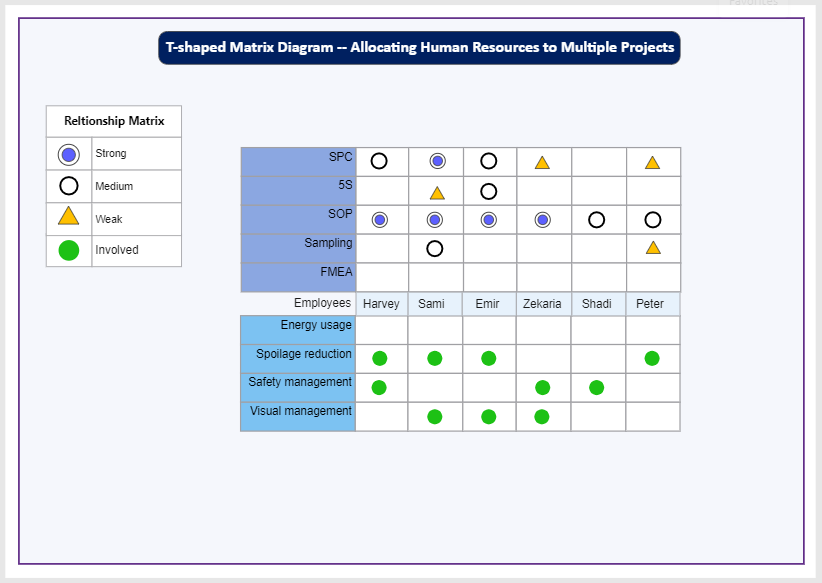 Matriz en forma de T