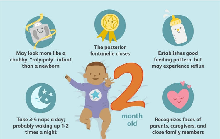 	Modèle de Diagramme des Étapes Importantes du Bébé de 2 Mois